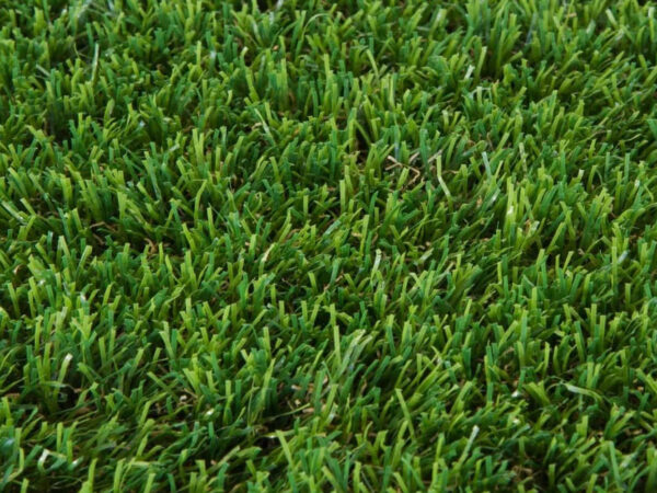 Seattle Green 20mm Artificial Grass Roll (2m X 4m) - Image 2