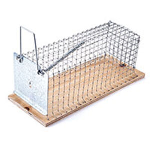 Rat Cage Trap Classic (4)